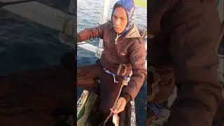 strike #shorts #fihsing #matapancing #mancingmania #fish