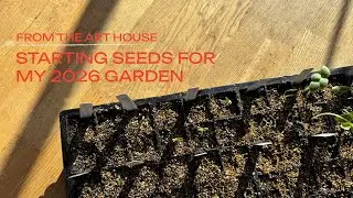 Starting flower and veggie seeds for my 2026 garden