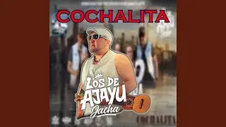 Cochalita