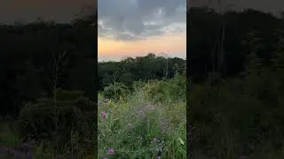 Skyline Drive Overlook at Big Meadows Campground