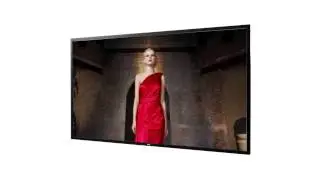 NEC - P463 (monitor)