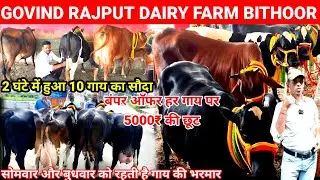 Govind rajput dairy farm kanpur bithoor | गोविंद राजपूत डेयरी फार्म | hf sahiwal | Cow dairy farm