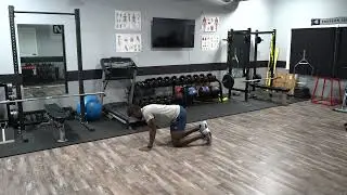 All Fours Single Arm Scap Press
