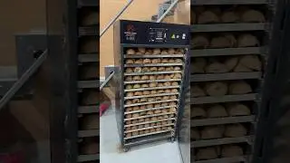 #coconut dryer #