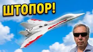 Entered a flat spin. Aircraft Sword T770.