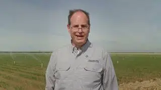 Irrigation Scheduling: Choosing the Best Method for Your Farming Operation