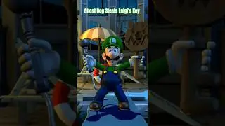 Собака-призрак крадет ключ Луиджи #luigismansion2hd #shorts #gaming