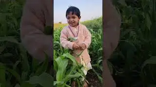 Halima ne bnaya pulao