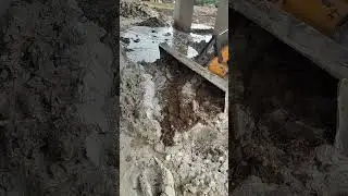 JCB Performance #shortvideo