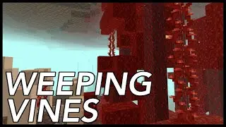 How To Place Weeping Vines In Minecraft?
