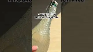 Naturally Fizzy Probiotic Ginger Ale #shorts #ginger #guthealth