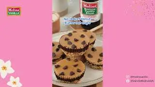 No-Bake Peanut Butter Oat Cups in 10 minutes!