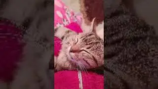 ❤️❤️❤️❤️😻😻😻😻