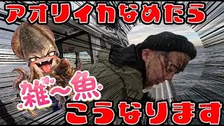 【明石ティップラン&ジギング】アオリイカ舐めたら大惨事⁉︎FELLOW・SHIPでリレー便前編【ヒマキワch　会社員釣り趣味奮闘記 #72】