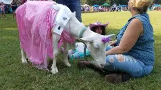 2019 Arkansas Goat Festival