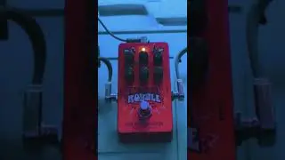 Electro Harmonix Bender Royale Fuzz Pedal Demo! (No Talking)