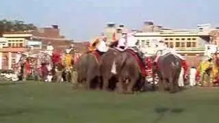 ELEPHANT POLO