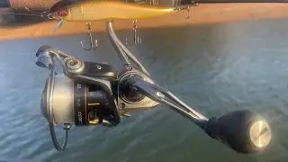 2 HUGE Mistakes You Will Regret When Buying A Spinning Reel&hellip;