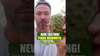 New taste test! And hybrid seeds! #fruit