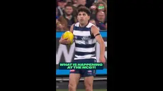 Geelong fans are SEETHING after this...👀