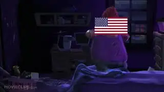THE AMERICAN GOVERNMENT IN A NUTSHELL