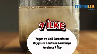 Yoğun ve Acil Durumlarda Duygusal Kontrol | Mineus Psikoloji &ndash; Psikolojik Sağlamlık Sırları