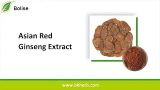 Asian Red Ginseng Extract, Health Product Supplier, Ginsenosides
