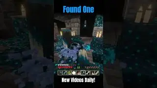 Found One #Minecraft