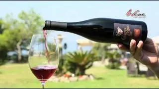 DocuWine | Piedirosso dei Campi Flegrei DOC - Cantine Farro