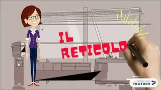 Il reticolo #MaestraBrunella