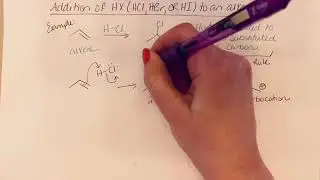 Присоединение HX к алкену