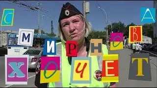 Верблюд у #ГАЛУРГИИ ч.3 #дпс #хамстоп #тротуар