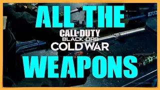 BLACK OPS COLD WAR: All Weapons We Know So Far! (Gunsmith Showcase!)