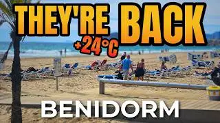 Benidorm on a Monday | Sunbeds, Hot Weather & The Strip!