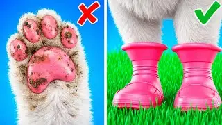 Easy DIY Pet Hacks 🐶🐱 Back-to-School Ideas for Cats & Dogs by 123GO!