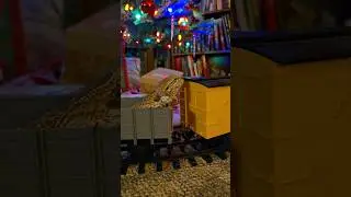Female beardie rides in train (did not like it) 😂 #reptile #lizard #beardeddragon #train #christmas
