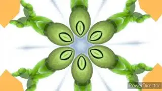 Flower Gummy bear Song
