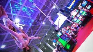 Acrobatic Shows By Wilmark