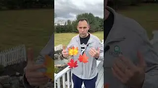 King Mike on Full-Year Pond Maintenance! | #shorts