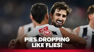 Nick & Josh Daicos and Darcy Moore among Pies affected as illness pierces through team 🤒 | Fox Footy