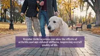 Improving Mobility In Pets Through Reiki