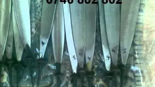 dalti de sculptura in lemn,dalti de strung,dalti de piatra tel:0746.802.802