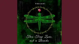 This Trap Zone, not a Bando