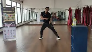 fungymnastic aeroboxing with MCI VSN