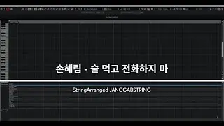 [스트링편곡] 손혜림 - 술 먹고 전화하지 마 STRING Up Ver. [JANGGAB STRING]