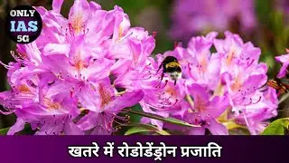 Rhododendron | Nagaland | UPSC- Daily- Current News | ONLY IAS 5G l #upsc #currentaffairs
