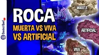 Rocas para tu Acuario Marino - Roca Muerta, Roca viva y Roca Artificial
