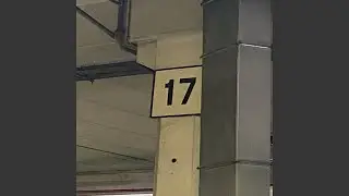 17th birthday