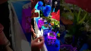 special paan stall💯💯🌹🌹❤️❤️