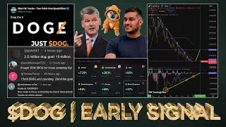 $DOG 